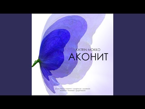 Вкус шоколада