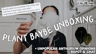 surprise plant unboxing + unpopular anthurium opinions repot & chat