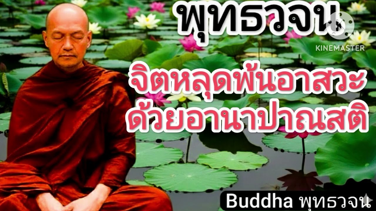 จิตหลุดพ้นอาสวะด้วยอานาปาณสติ