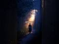 Dhammapada 299: The Buddhist Path from Darkness to Light.