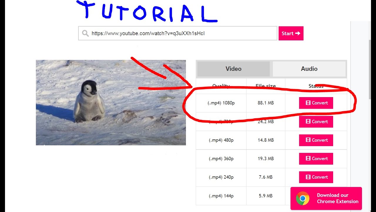Youtube mp3 letöltés - YouTube