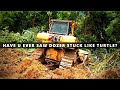 Dozer Stuck in Mud Like Turtle