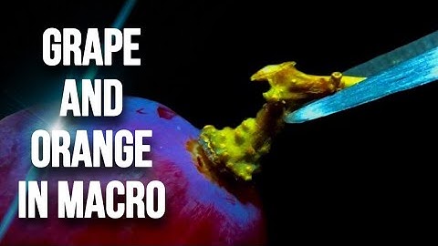 Grape and Orange in Macro 🍇🍊 | Closeup | Satisfying Video | ASMR