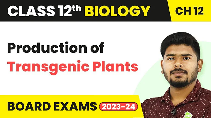 Production of Transgenic Plants - Biotechnology and Its Applications | Class 12 Biology (2022-23) - DayDayNews