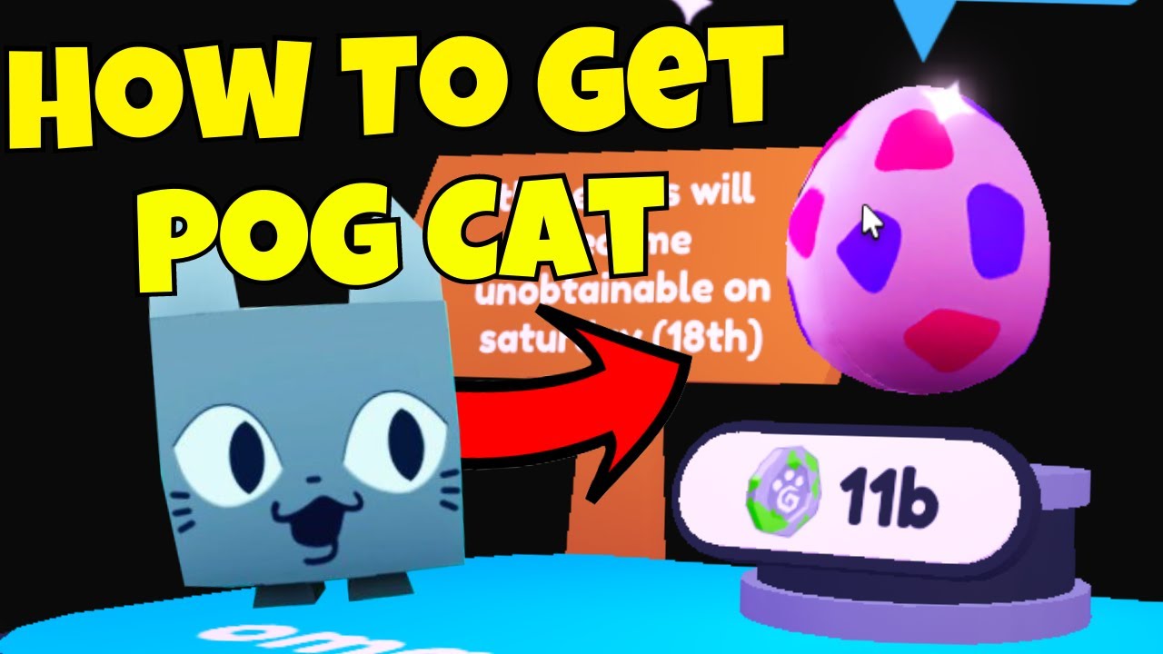 How To Get PogCat [Pet Simulator] - YouTube