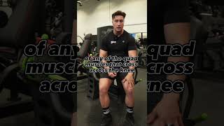 Toes in or out? Leg extensions in 30 seconds #gym #bodybuilding #training #shorts