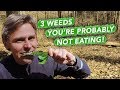 3 Weeds You're Probably Not Eating