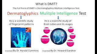 What is DMIT Test, Dermatoglyphics Multiple Intelligence Test screenshot 3