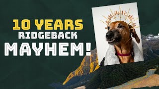 TEN Years Living With Rhodesian Ridgeback Mayhem by Marking Our Territory 5,267 views 3 weeks ago 10 minutes, 52 seconds