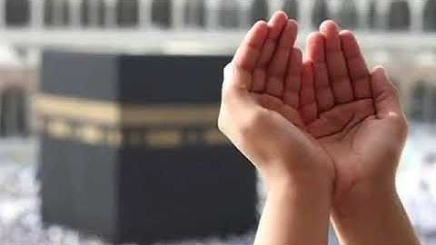 آيات من سورة يوسف بصوت القارئ وديع اليمني