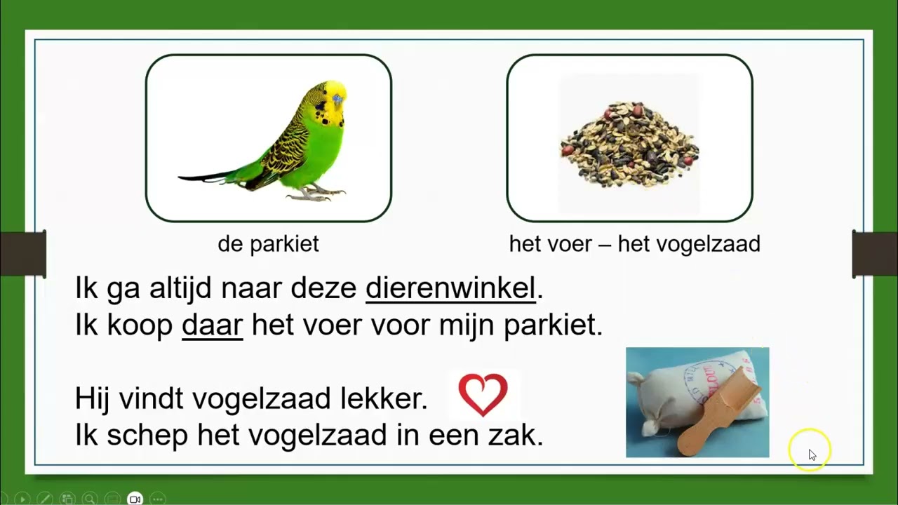 Natuur NT2 praat mee in de dierenwinkel