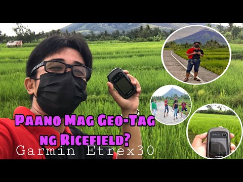 Paano Mag Geo-tagging Ng Rice Production Area?- Agri-Talk- Karl Vlogs- Vlog 018