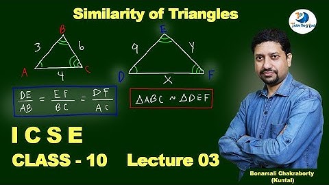 How You Can Master Similarity in Class 10 Maths | 📚