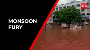 Gujarat rains: Several parts of Navsari inundated after heavy downpour