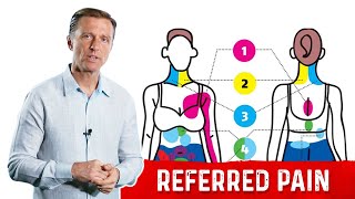 Most Pain is Referred Pain - Explained By Dr. Berg