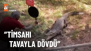 Onlarda: Timsahı tavayla dövdü | Bizde: Boz ayıyı bağırarak kaçırdı - atv Haber 23 Haziran 2022