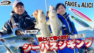 落として巻くだけ！誰でも楽しめるシーバスジギング！O.S.Pの「アリーチ」と「フェイキー」で東京湾満喫！