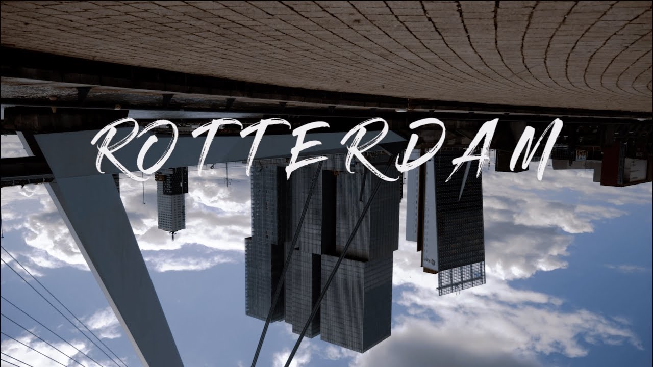 City Tour: Rotterdam