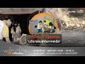 เสียงเปลี่ยนเมือง : 23-4-69 ตอน ทำได้ไหม ? รัฐอุดหนุน ‘นวัตกรรมสู้ฝุ่นภาคเหนือ’