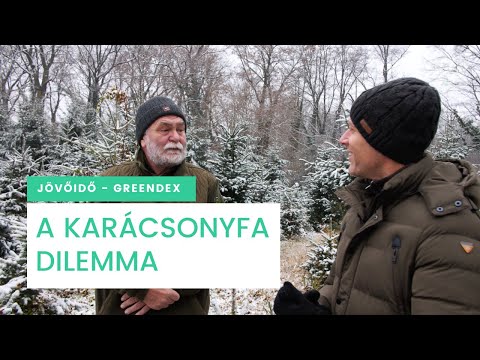 Karácsonyfa: fenyő vagy műfenyő? - Jövő idő | Greendex