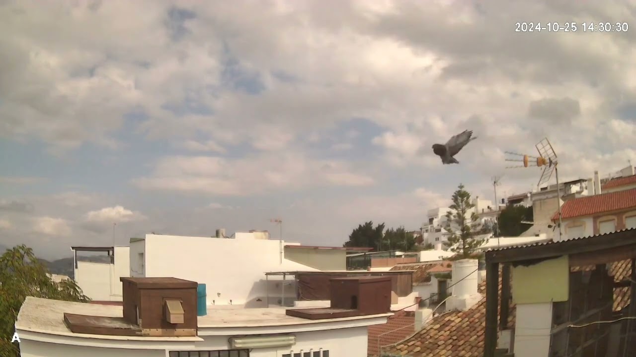 GRAN TRABAJO SIN RECOMPENSA.