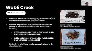 Reach Web Broadcast [Alert] - 12/06/2024