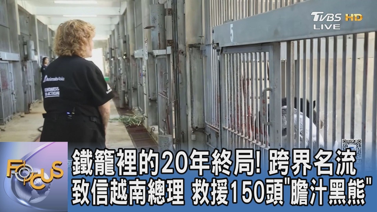鐵籠裡的20年終局! 跨界名流致信越南總理 救援150頭「膽汁黑熊」｜FOCUS午間新聞 20260514 @TVBSNEWS01