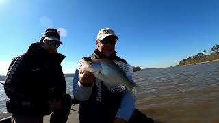 Finding Crappie After Massive Temp Drops Lake Seminole. Big Crappie Fishing