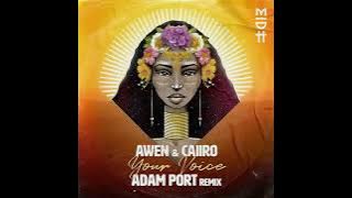 Caiiro - Your Voice (Adam Port Remix)