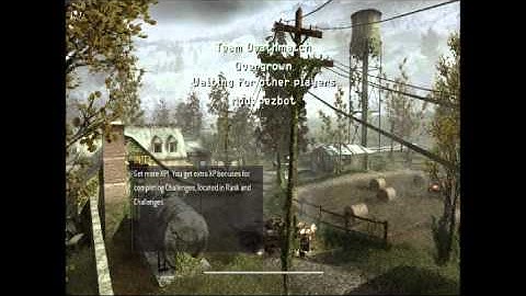 How To Add Bots In CoD4