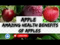 Apple amazing health benefits of apples amal khan creations