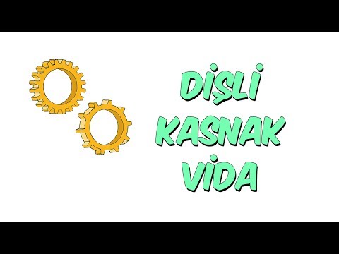 Dişli Kasnak Vida | 8.1 Kampı