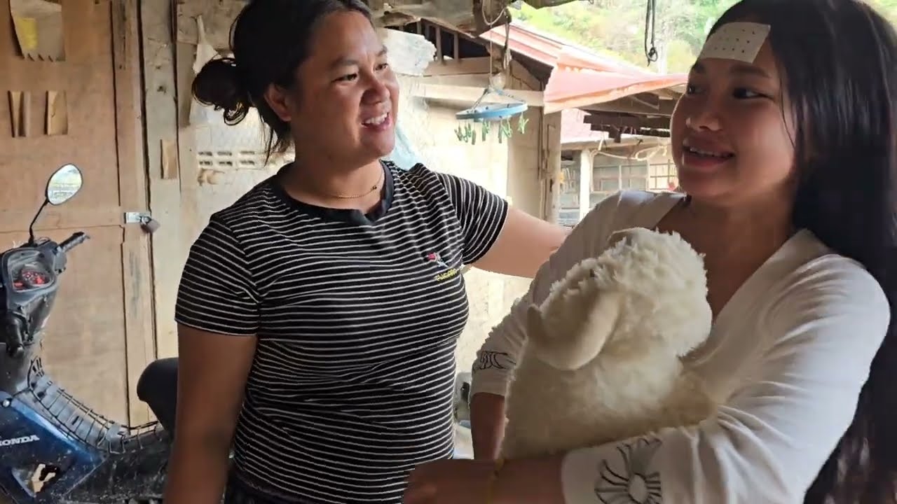 hnub no vauv thiab nkauj hnub rov qab mus tsev lawm os