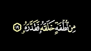 كروما قرآن بصوت بدر البشر سورة عبس _ اختصار لحياة الانسان في ثواني