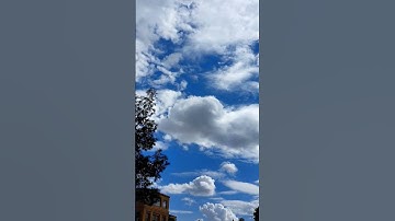 سورة النمل أية ٩ ياموسى إنه أنا الله العزيز الحكيم