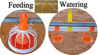 Automatic Feeding and Watering System For Chickens | Dr. ARSHAD