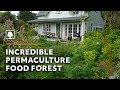 Tour a Thriving 23-Year-Old Permaculture Food Forest - An Invitation for Wildness