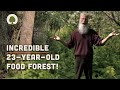 Amazing 23-Year-Old Permaculture Food Forest - An Invitation for Wildness