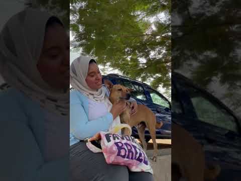 زيارة ملجأ مؤسسة حماية الحيوان       