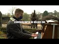 Animals Reacting to Music | „Zoogehört" | Kölner Zoo