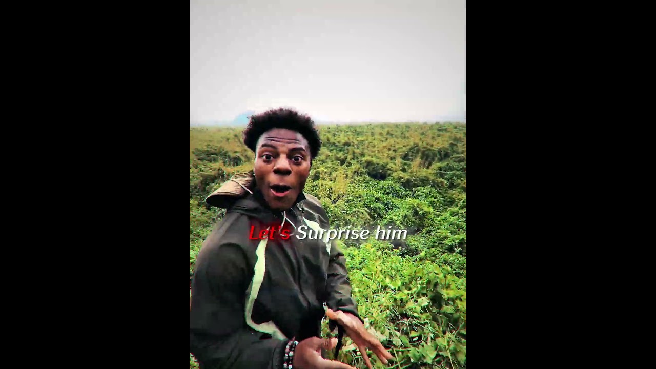 Speed thought that Gorilla is his Brother😂