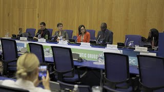 Cooperation for effective drug policies: The role of regional civil society | CND 2024