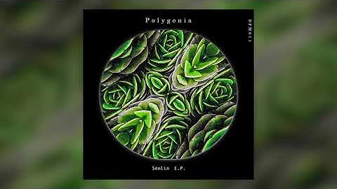Polygonia - Acacia [DFM011 / Deflection Music]