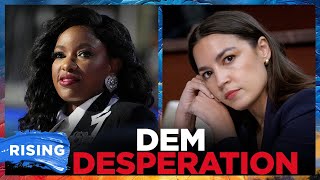 Democrat Org SLAMS Party Over 'Far-Left Influence,' Charts New Way Forward: Third Way Intv