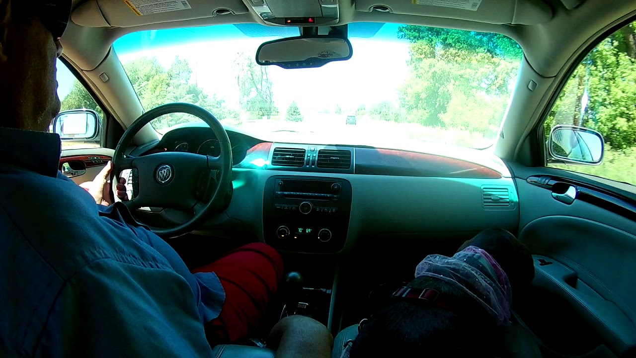 Annie on the way home from the Larimer Humane Societies 5K