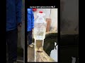 Genius DIY siphon trick! 🧠🚰