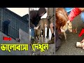 ভালোবাসা নাকি মানবতা #shorts
