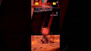 Ali ka zikr an ibadat hai man kunto maula ali mere nabi ne bola ali hai uska maula ali #yaali #music