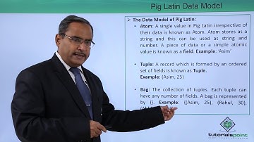 Pig Latin Data Model