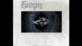 EVERGREY - AMBASSADOR